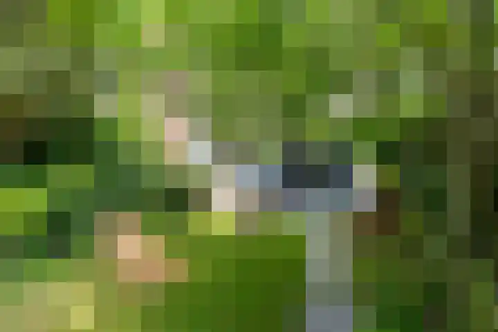 De Savornin Lohmanlaan 37 Groningen thumbnail 37