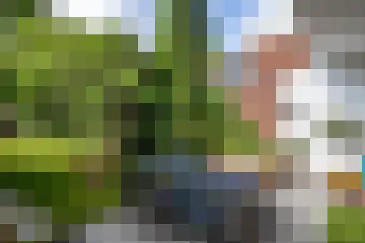 De Savornin Lohmanlaan 37 Groningen thumbnail 4