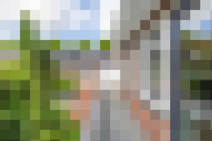De Savornin Lohmanlaan 37 Groningen thumbnail 41