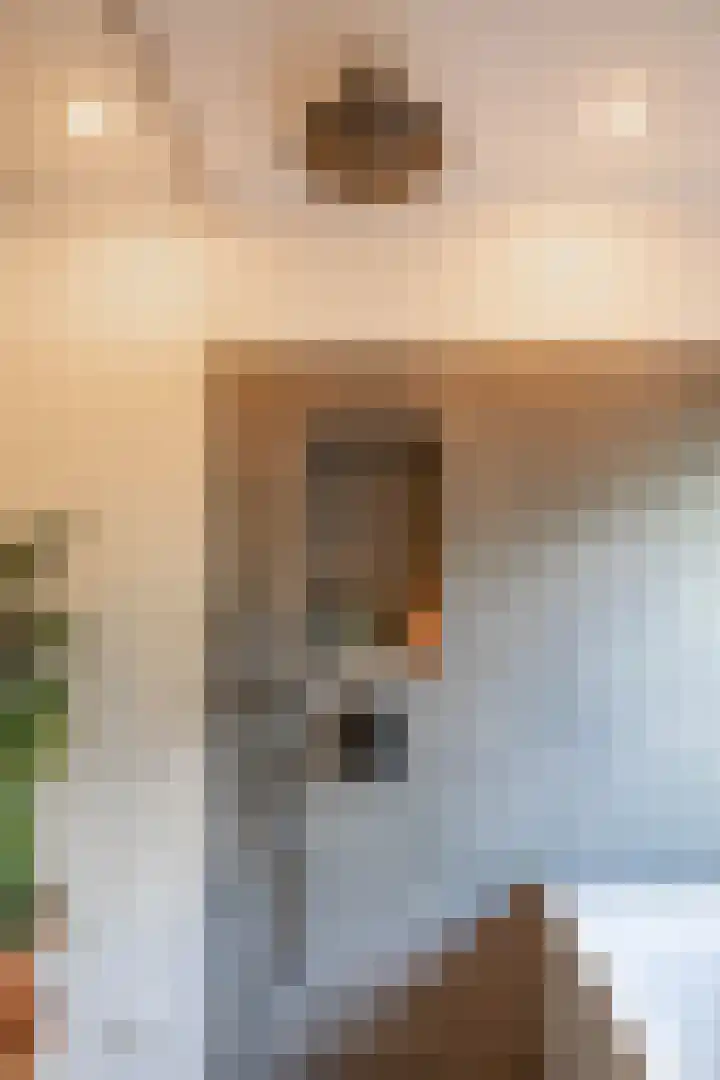 De Savornin Lohmanlaan 37 Groningen thumbnail 49