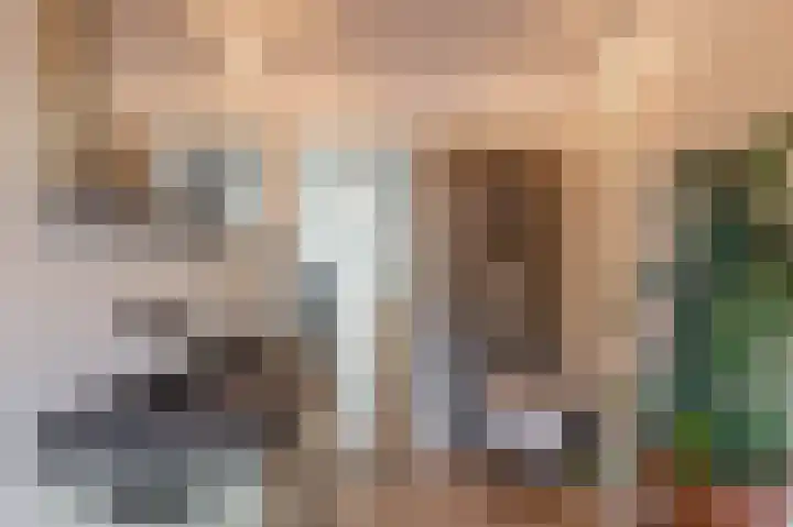 De Savornin Lohmanlaan 37 Groningen thumbnail 50