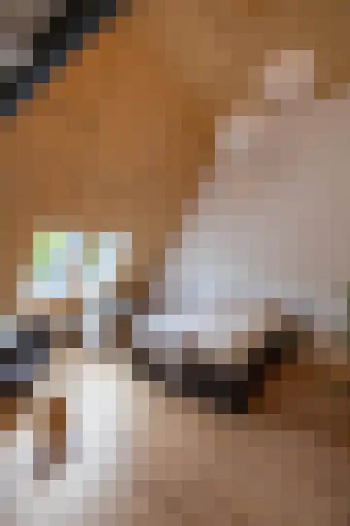 De Savornin Lohmanlaan 37 Groningen thumbnail 55
