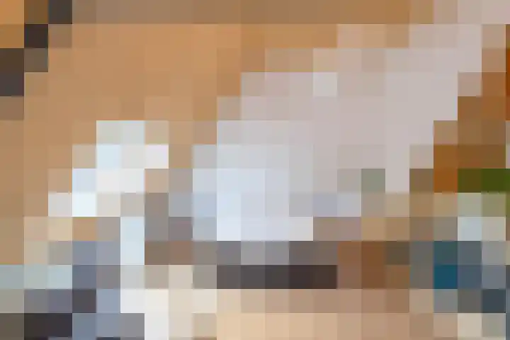 De Savornin Lohmanlaan 37 Groningen thumbnail 56