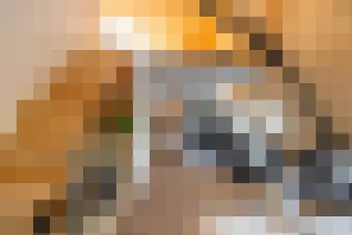 De Savornin Lohmanlaan 37 Groningen thumbnail 57