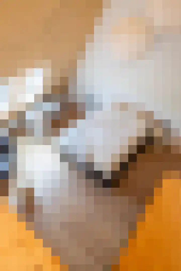 De Savornin Lohmanlaan 37 Groningen thumbnail 60