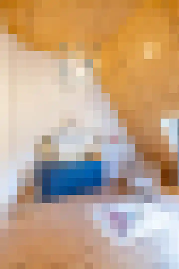 De Savornin Lohmanlaan 37 Groningen thumbnail 62
