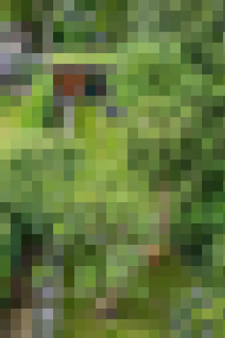 De Savornin Lohmanlaan 37 Groningen thumbnail 66