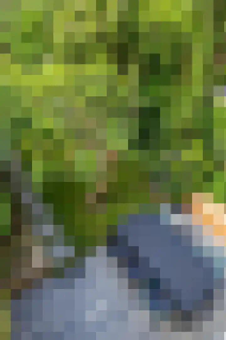 De Savornin Lohmanlaan 37 Groningen thumbnail 67