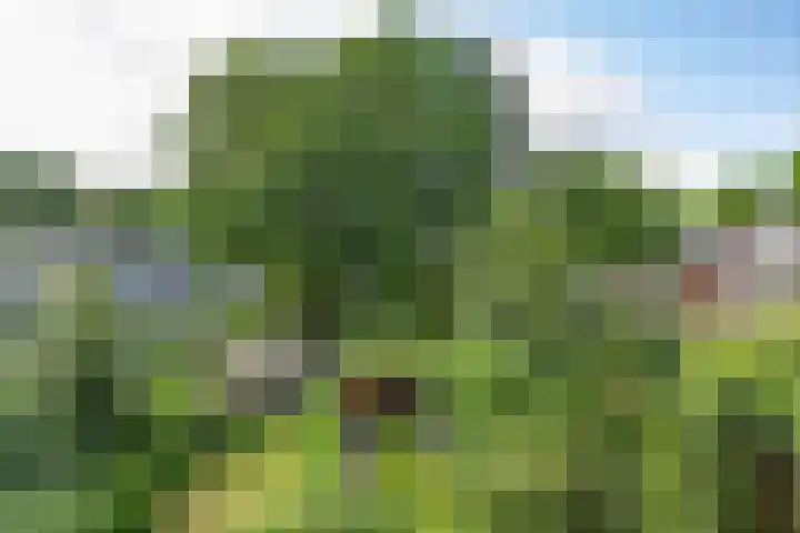 De Savornin Lohmanlaan 37 Groningen thumbnail 68