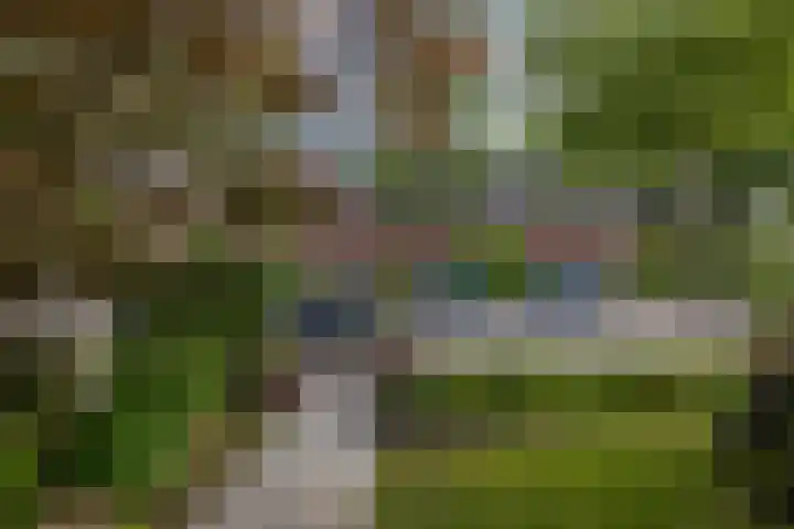 De Savornin Lohmanlaan 37 Groningen thumbnail 7