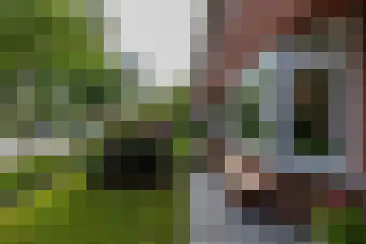 De Savornin Lohmanlaan 37 Groningen thumbnail 8