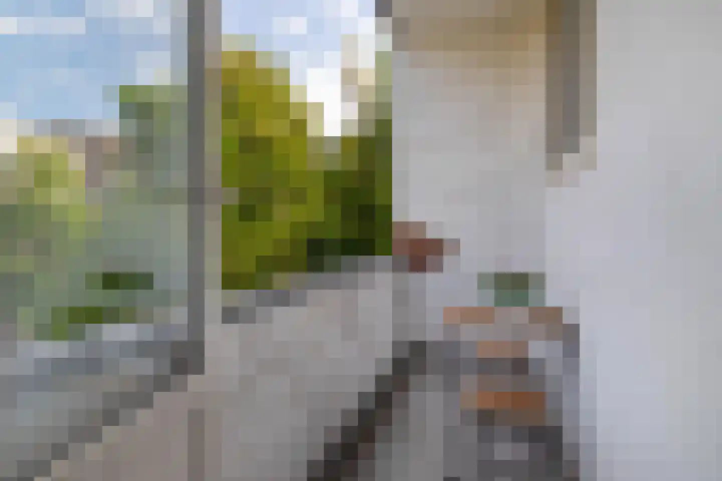 De Savornin Lohmanlaan 38 A 01 Rotterdam thumbnail 21