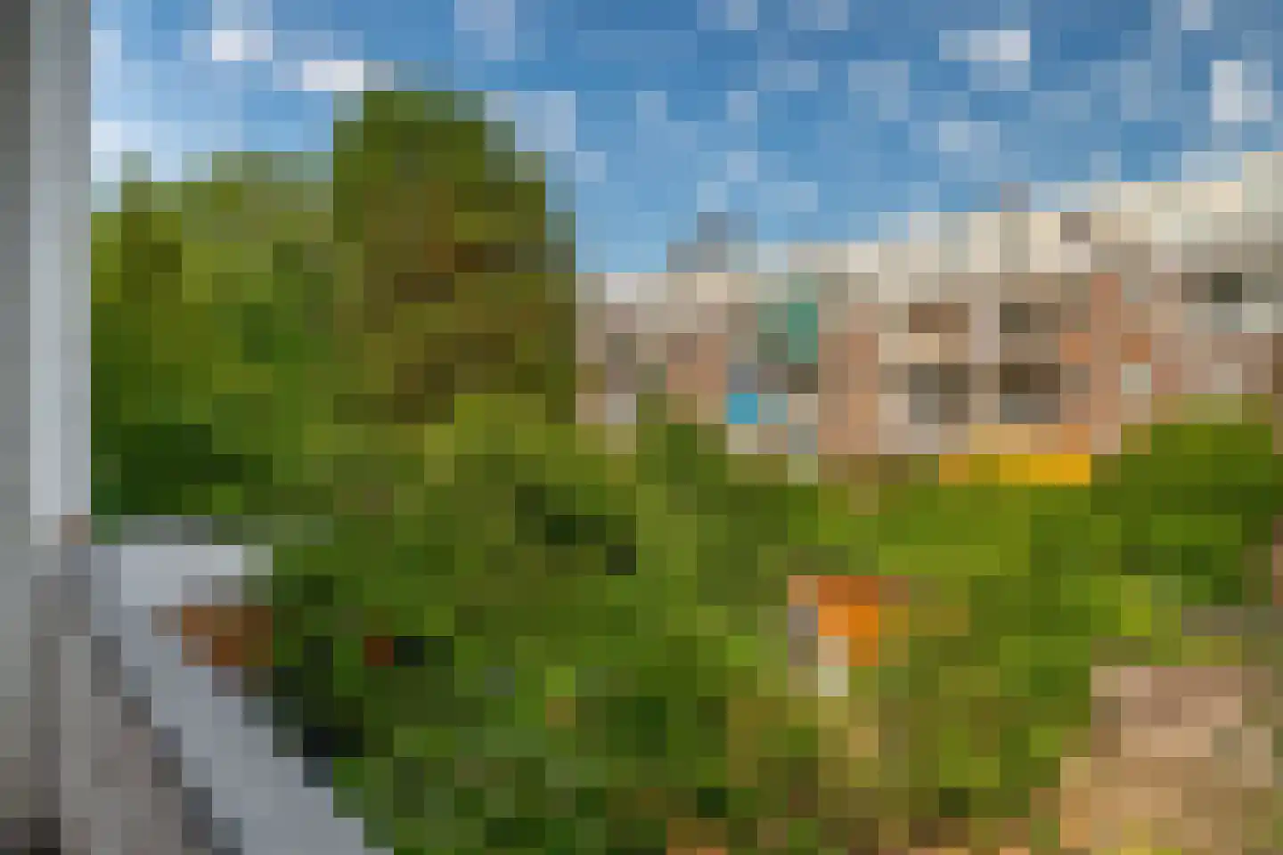 De Savornin Lohmanlaan 38 A 01 Rotterdam thumbnail 22