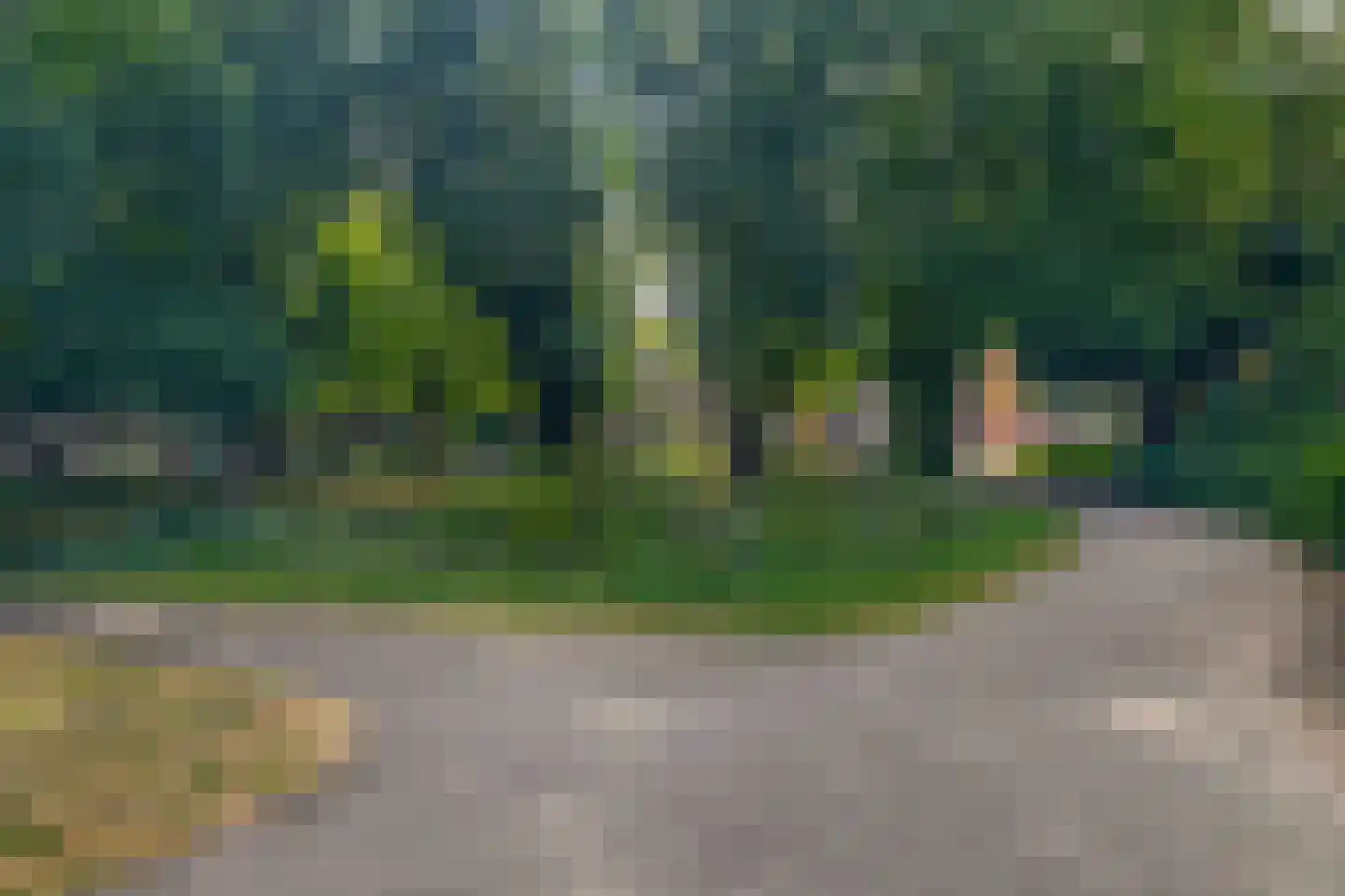 De Savornin Lohmanlaan 38 A 01 Rotterdam thumbnail 44