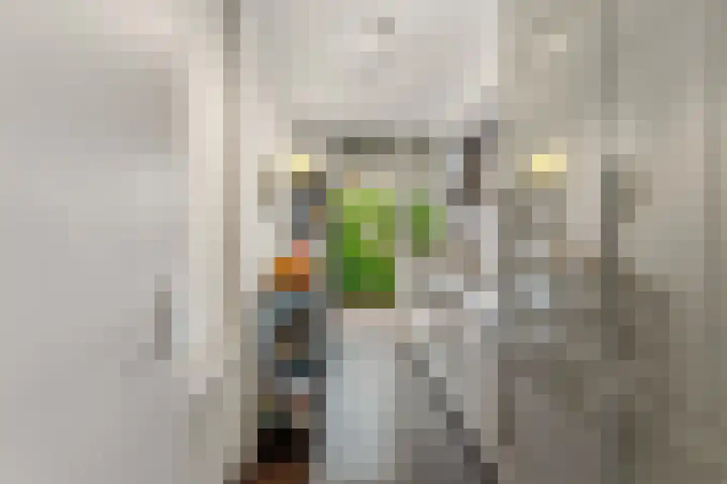 De Savornin Lohmanlaan 38 Den Haag thumbnail 18