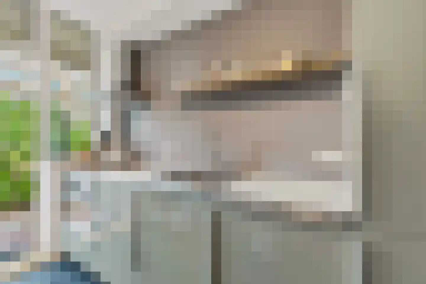 De Savornin Lohmanlaan 38 Den Haag thumbnail 20