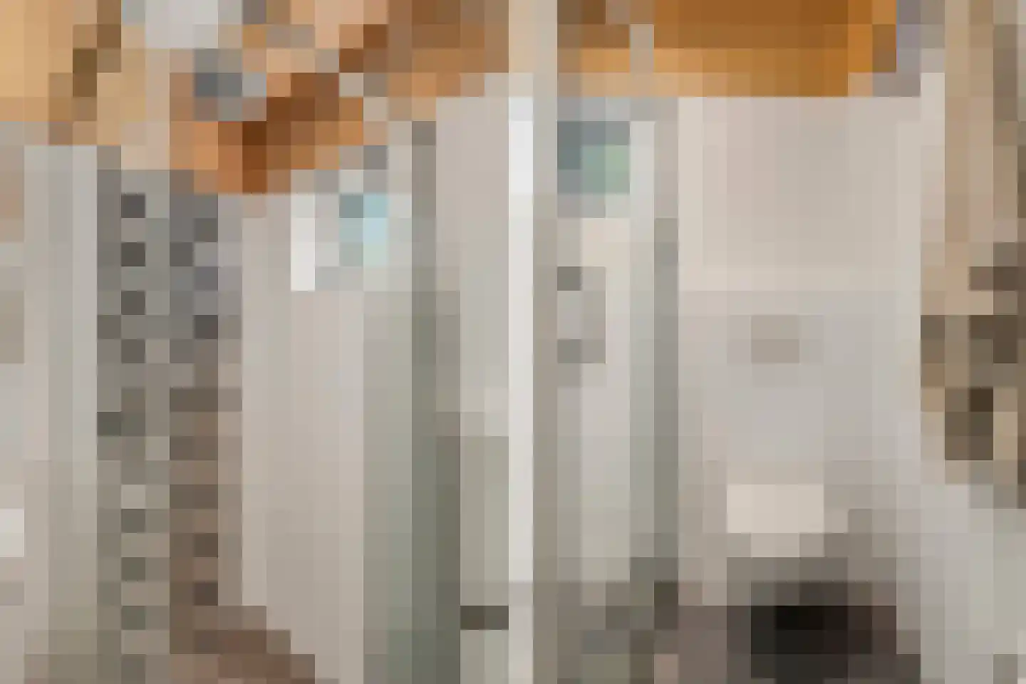 De Savornin Lohmanlaan 38 Den Haag thumbnail 34