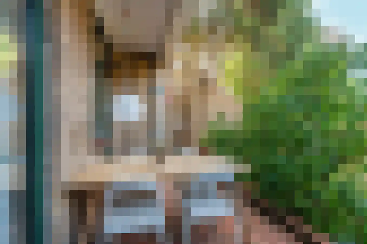 De Savornin Lohmanlaan 38 Den Haag thumbnail 39