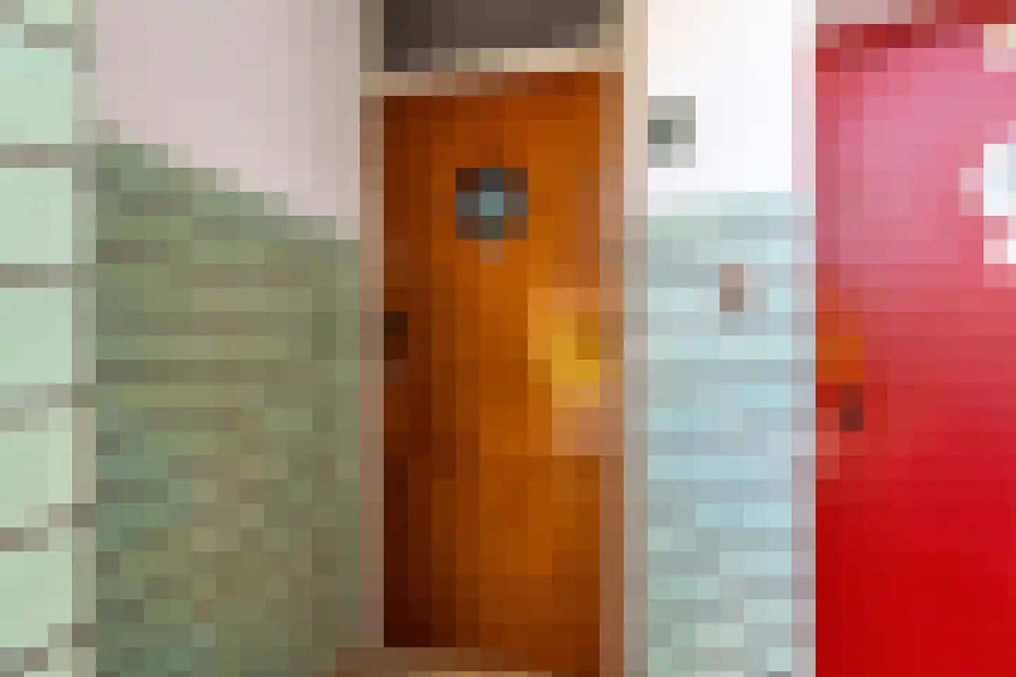 De Savornin Lohmanlaan 38 Den Haag thumbnail 7