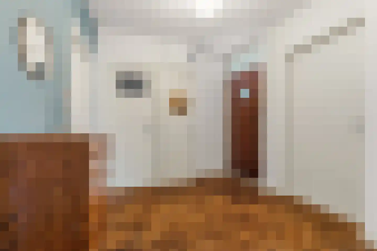De Savornin Lohmanlaan 38 Den Haag thumbnail 8