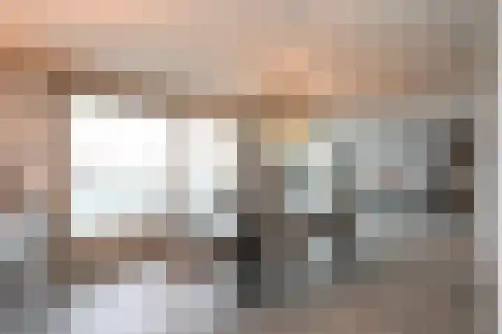 De Savornin Lohmanlaan 392 Den Haag thumbnail 11