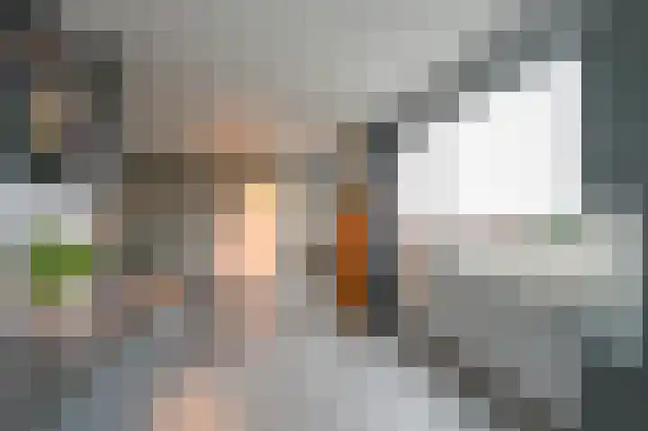 De Savornin Lohmanlaan 392 Den Haag thumbnail 31