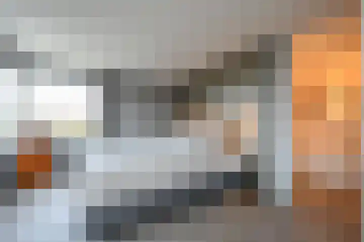De Savornin Lohmanlaan 392 Den Haag thumbnail 32