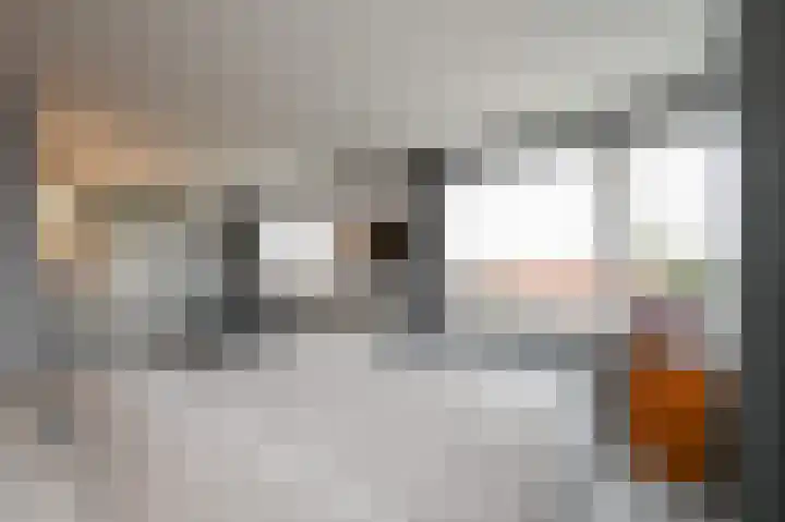 De Savornin Lohmanlaan 392 Den Haag thumbnail 36