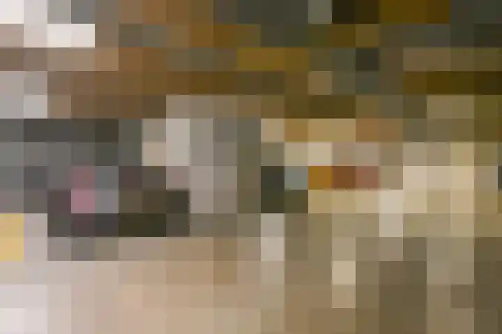 De Savornin Lohmanlaan 392 Den Haag thumbnail 44