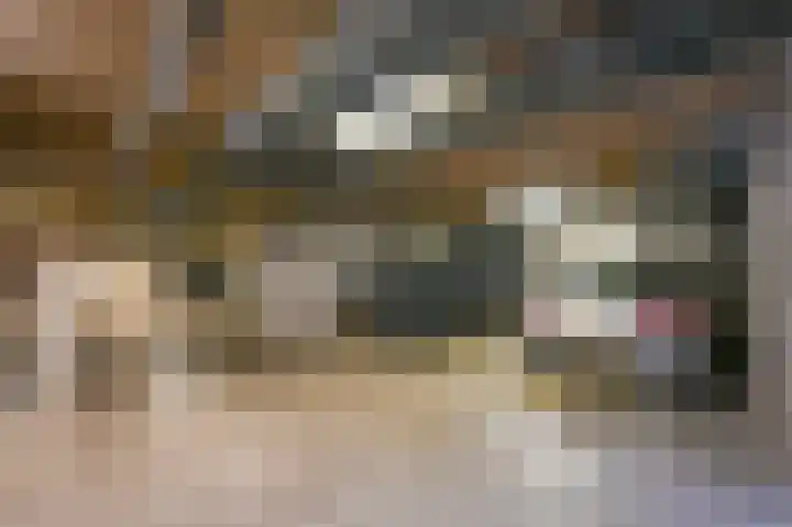 De Savornin Lohmanlaan 392 Den Haag thumbnail 45
