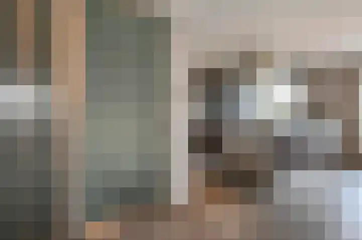 De Savornin Lohmanlaan 392 Den Haag thumbnail 7