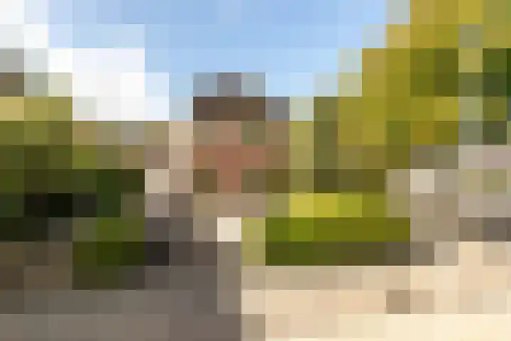De Savornin Lohmanlaan 4 in Vlijmen