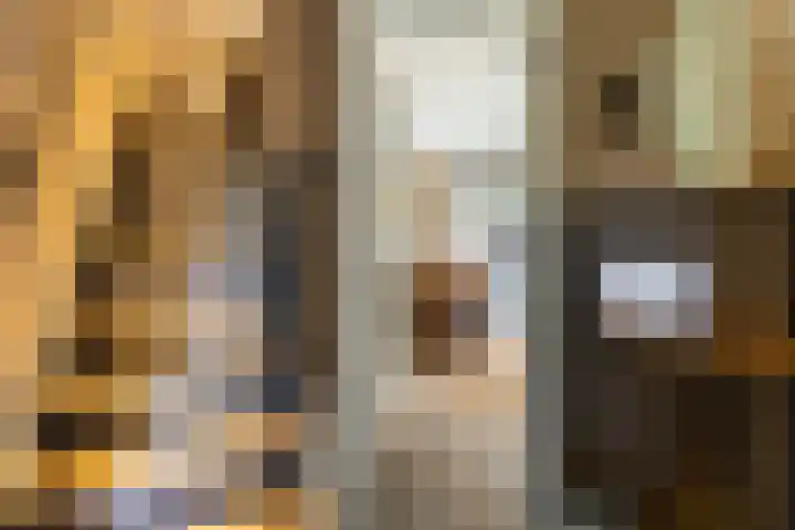De Savornin Lohmanlaan 4 Vlijmen thumbnail 12