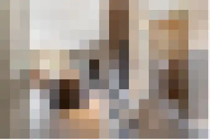 De Savornin Lohmanlaan 4 Vlijmen thumbnail 13