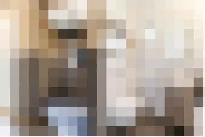 De Savornin Lohmanlaan 4 Vlijmen thumbnail 14