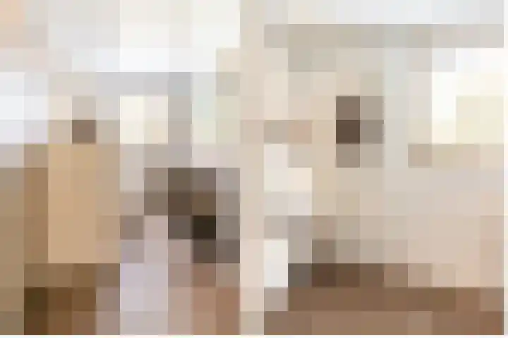 De Savornin Lohmanlaan 4 Vlijmen thumbnail 19
