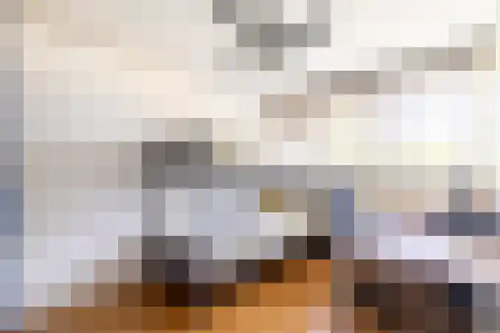 De Savornin Lohmanlaan 4 Vlijmen thumbnail 20