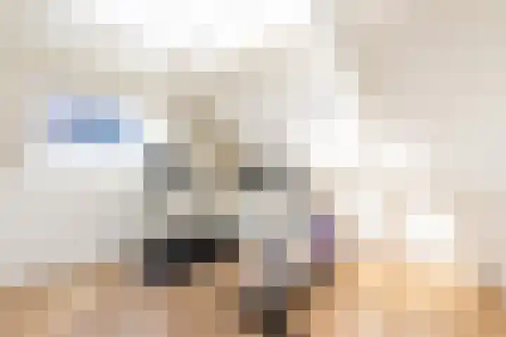 De Savornin Lohmanlaan 4 Vlijmen thumbnail 23