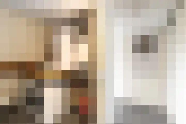 De Savornin Lohmanlaan 4 Vlijmen thumbnail 25