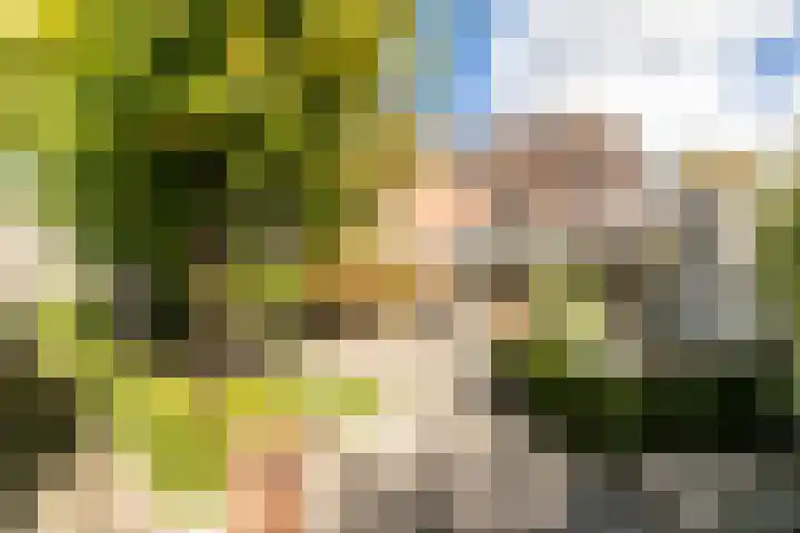 De Savornin Lohmanlaan 4 Vlijmen thumbnail 27