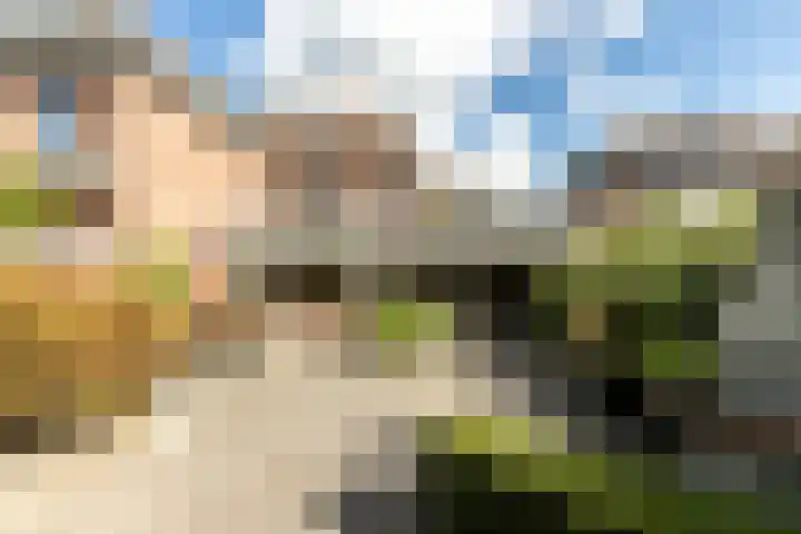 De Savornin Lohmanlaan 4 Vlijmen thumbnail 28