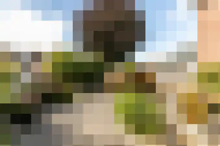 De Savornin Lohmanlaan 4 Vlijmen thumbnail 29