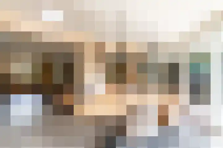De Savornin Lohmanlaan 4 Vlijmen foto 3