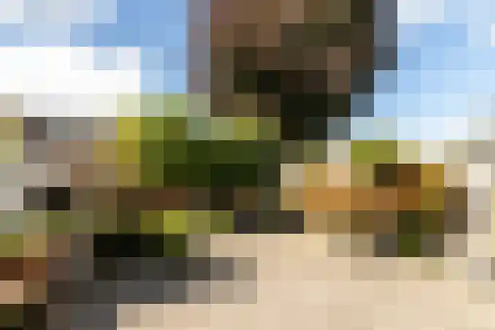 De Savornin Lohmanlaan 4 Vlijmen thumbnail 30