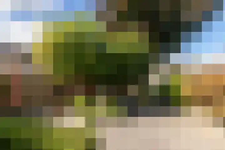 De Savornin Lohmanlaan 4 Vlijmen thumbnail 31