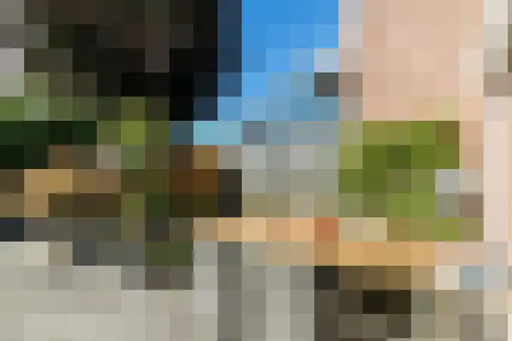 De Savornin Lohmanlaan 4 Vlijmen thumbnail 32