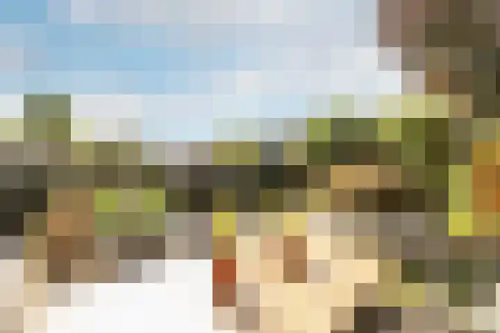 De Savornin Lohmanlaan 4 Vlijmen thumbnail 33
