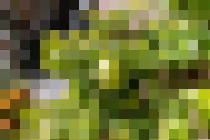 De Savornin Lohmanlaan 4 Vlijmen thumbnail 34