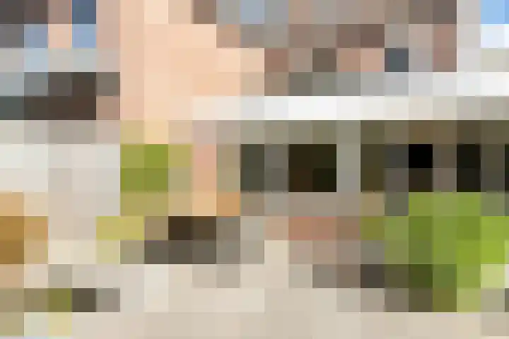 De Savornin Lohmanlaan 4 Vlijmen thumbnail 35