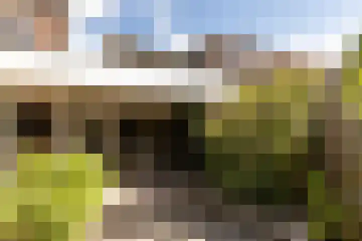 De Savornin Lohmanlaan 4 Vlijmen thumbnail 36
